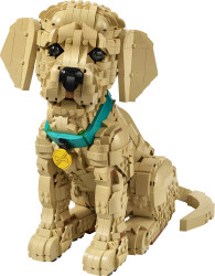 11384 LEGO® Icons Yavru Golden Retriever - LEGO Icons