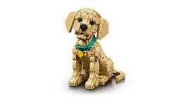 11384 LEGO® Icons Yavru Golden Retriever - 3