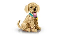 11384 LEGO® Icons Yavru Golden Retriever - 4
