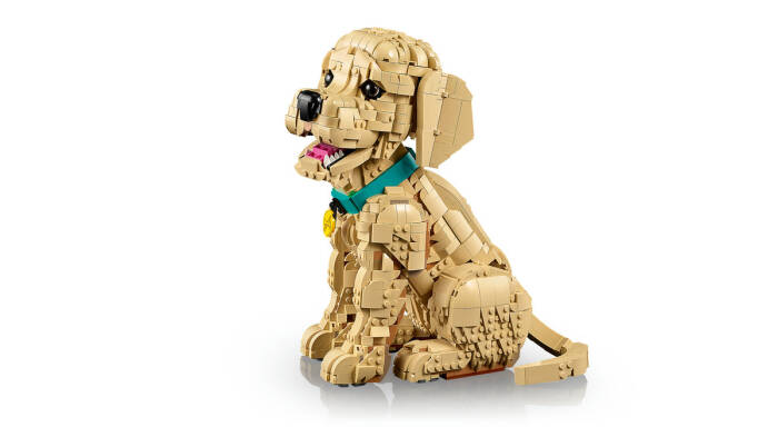 11384 LEGO® Icons Yavru Golden Retriever - 5