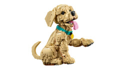 11384 LEGO® Icons Yavru Golden Retriever - 6