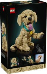 11384 LEGO® Icons Yavru Golden Retriever - 7