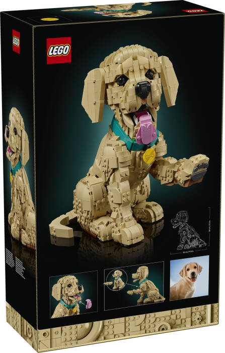 11384 LEGO® Icons Yavru Golden Retriever - 7