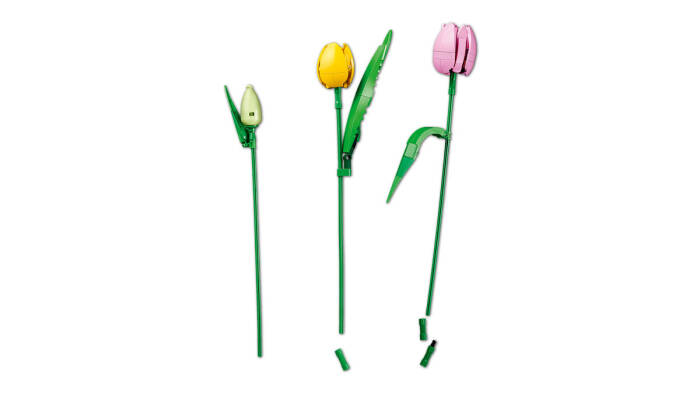 11501 LEGO® Botanicals Lale Buketi - 6