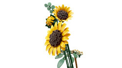 11502 LEGO® Botanicals Ayçiçeği Buketi - 5