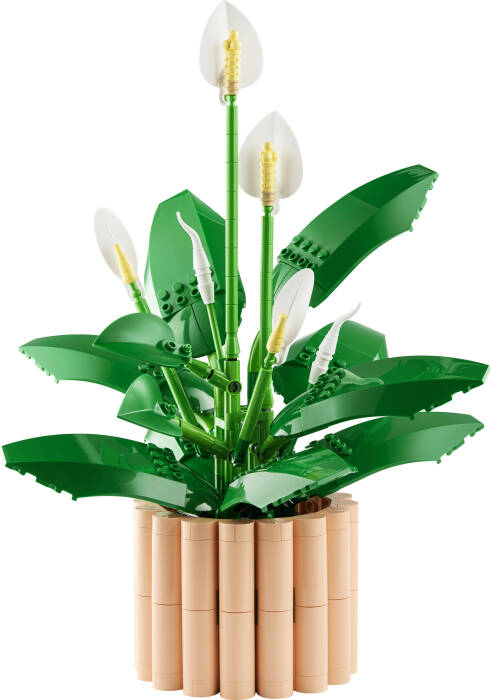 11504 LEGO® Botanicals Barış Çiçeği - 1