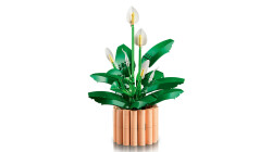 11504 LEGO® Botanicals Barış Çiçeği - 3