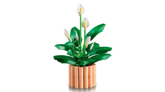 11504 LEGO® Botanicals Barış Çiçeği - 3