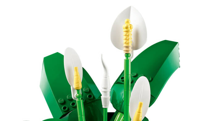 11504 LEGO® Botanicals Barış Çiçeği - 4