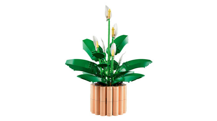 11504 LEGO® Botanicals Barış Çiçeği - 5