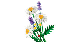 11508 LEGO® Botanicals Papatyalar - 4