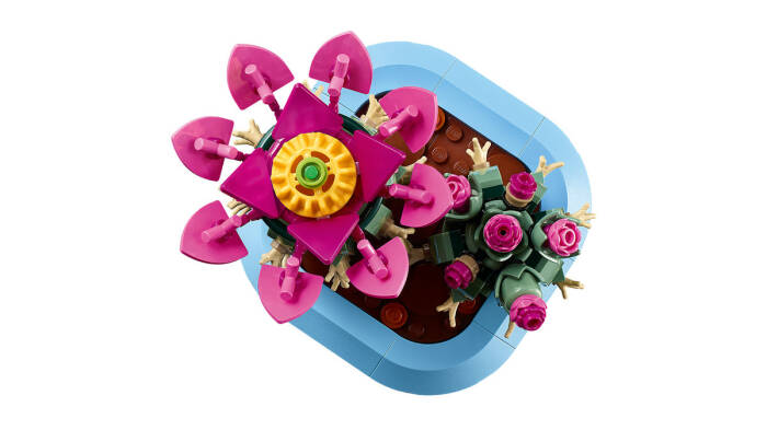 11509 LEGO® Botanicals Çiçekli Kaktüs - 4
