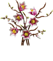 11510 LEGO® Botanicals Manolya Dalları - Botanik Koleksiyonu