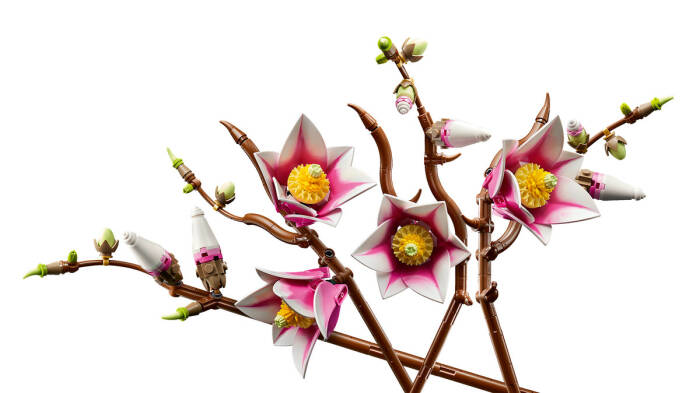 11510 LEGO® Botanicals Manolya Dalları - 4