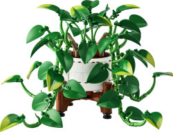 11512 LEGO® Botanicals Salon Sarmaşığı - Botanik Koleksiyonu