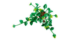 11512 LEGO® Botanicals Salon Sarmaşığı - 4