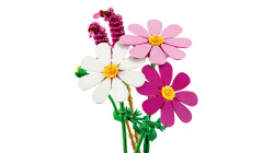 11514 LEGO® Botanicals Kozmos Çiçekleri - 5
