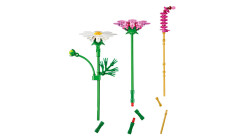 11514 LEGO® Botanicals Kozmos Çiçekleri - 6