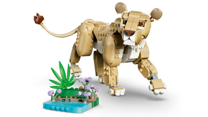 31386 LEGO® Creator Vahşi Hayvanlar: Görkemli Aslan - 4