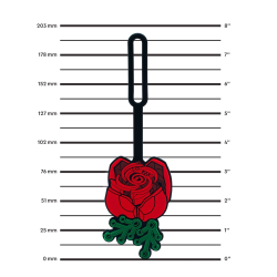 53661 LEGO® Çanta Etiketi Botanicals Gül - 3