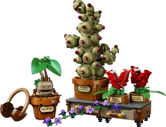 76474 LEGO® Harry Potter™ Hogwarts™ Bitkibilim Bitkileri - 1