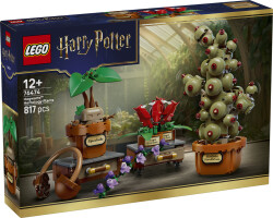 76474 LEGO® Harry Potter™ Hogwarts™ Bitkibilim Bitkileri - Harry Potter™ (1)