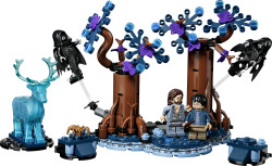 76475 LEGO® Harry Potter™ Yasak Orman: Expecto Patronum - Harry Potter™