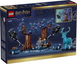 76475 LEGO® Harry Potter™ Yasak Orman: Expecto Patronum - 7