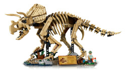 77985 LEGO® Jurassic World Dinozor Fosilleri: Triceratops - 3