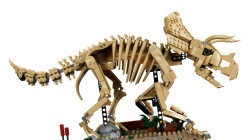 77985 LEGO® Jurassic World Dinozor Fosilleri: Triceratops - 4