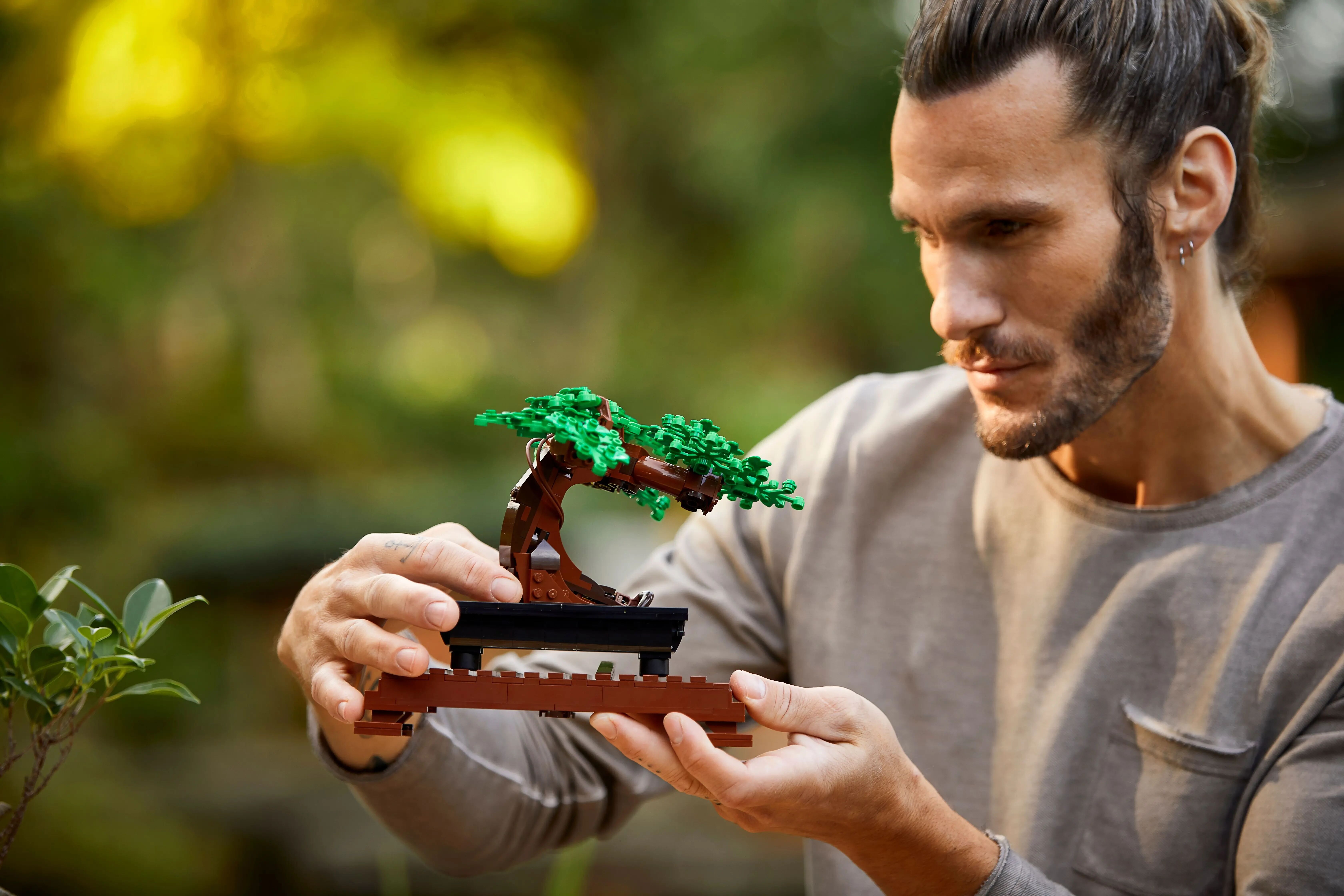 Bonsai Ağacı