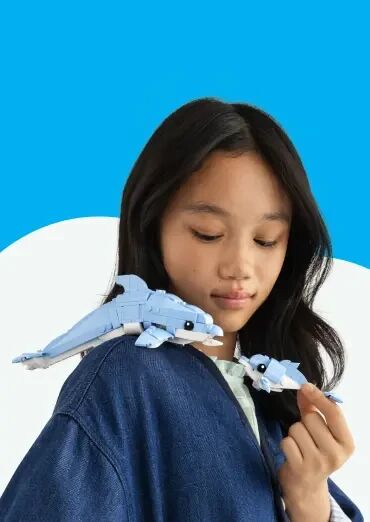LEGO® Creator