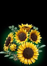 Botanicals