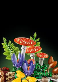 Botanicals