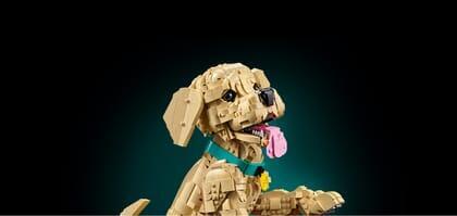 LEGO® Icons