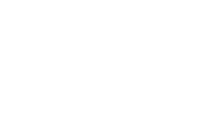 LEGO® Bluey