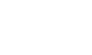 LEGO® Icons