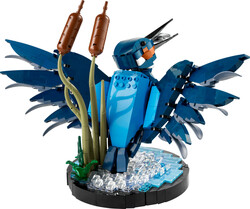 10331 LEGO® Icons Yalıçapkını Kuşu - 2