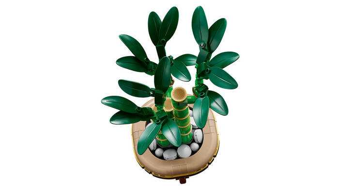10344 LEGO® Botanicals Şans Bambusu - 4