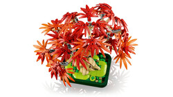 10348 LEGO® Botanicals Japon Kırmızı Akçaağaç Bonsai Ağacı - 5
