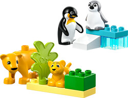 10442 LEGO® DUPLO Vahşi Hayvan Aileleri: Penguenler ve Aslanlar - DUPLO®