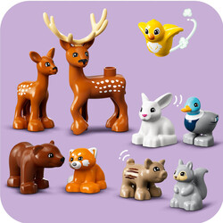 10979 LEGO® DUPLO® Vahşi Avrupa Hayvanları - 4