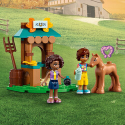 41730 LEGO® Friends Autumn'un Evi - 6