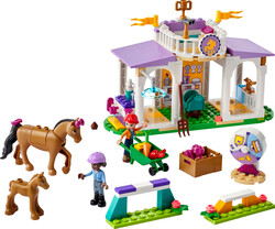 41746 LEGO® Friends At Eğitimi - 1
