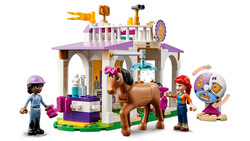 41746 LEGO® Friends At Eğitimi - 6