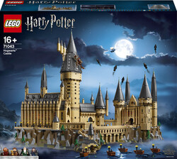 71043 LEGO® Harry Potter™ Hogwarts™ Şatosu - 3
