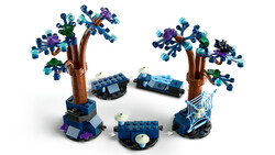76432 LEGO® Harry Potter Yasak Orman: Sihirli Yaratıklar - 9