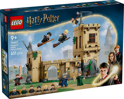 76447 LEGO® Harry Potter™ Hogwarts™ Şatosu: Uçuş Dersleri - Harry Potter™ (1)
