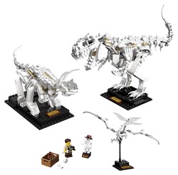 21320 LEGO Ideas Dinozor Fosilleri - LEGO Iconic